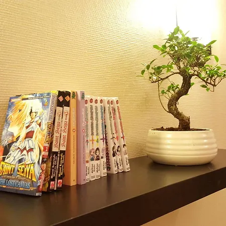 Studio Japonais Coeur De Apartment Nantes